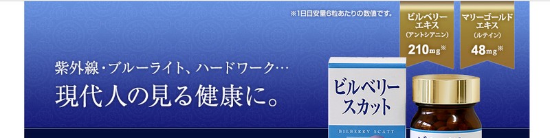 �r���x���[�X�J�b�g�T�v�����T�C�g